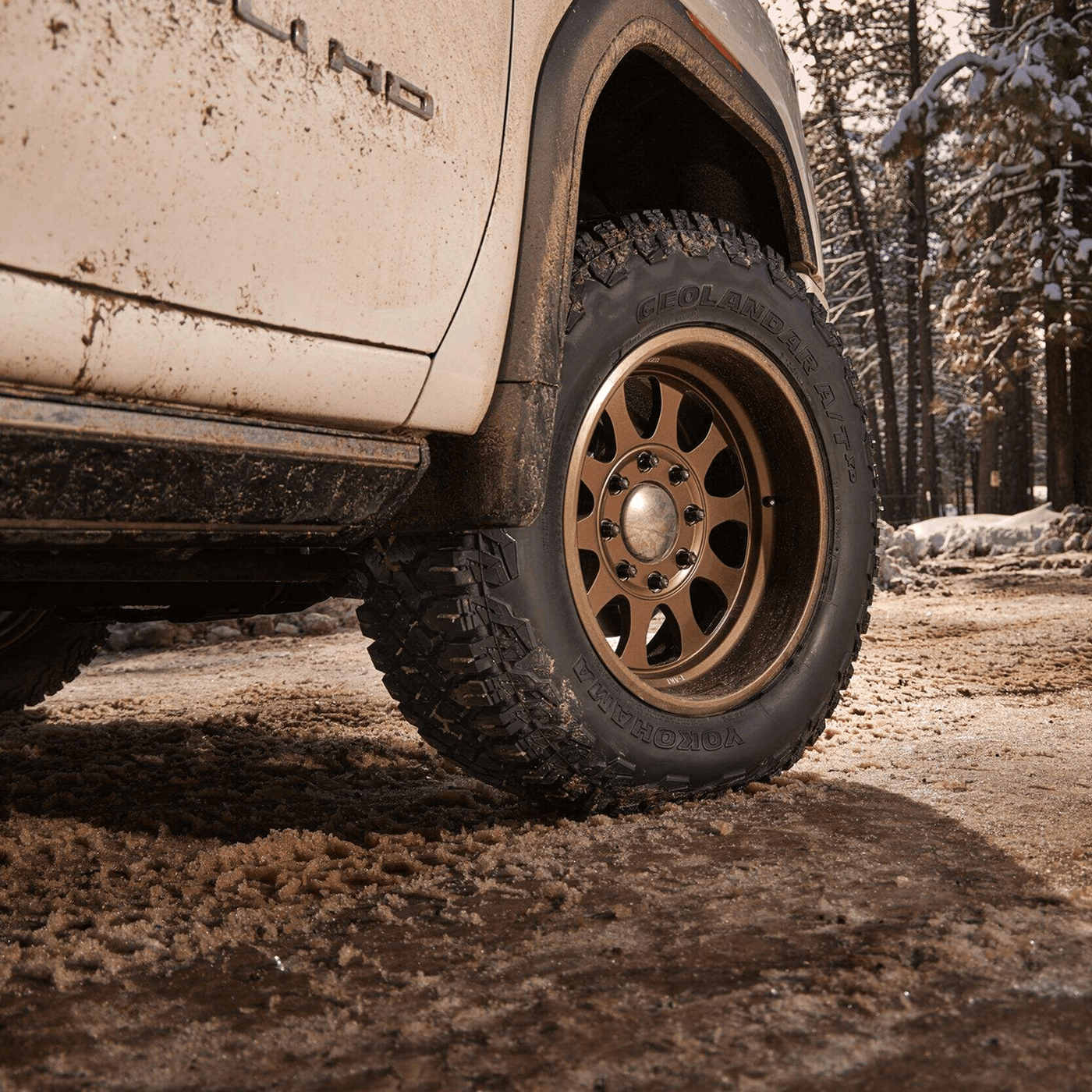 Vibrant HE54 High-end Sport Winter Tire