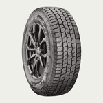 Dynamax DS02 Summer Tire for Truck & SUV