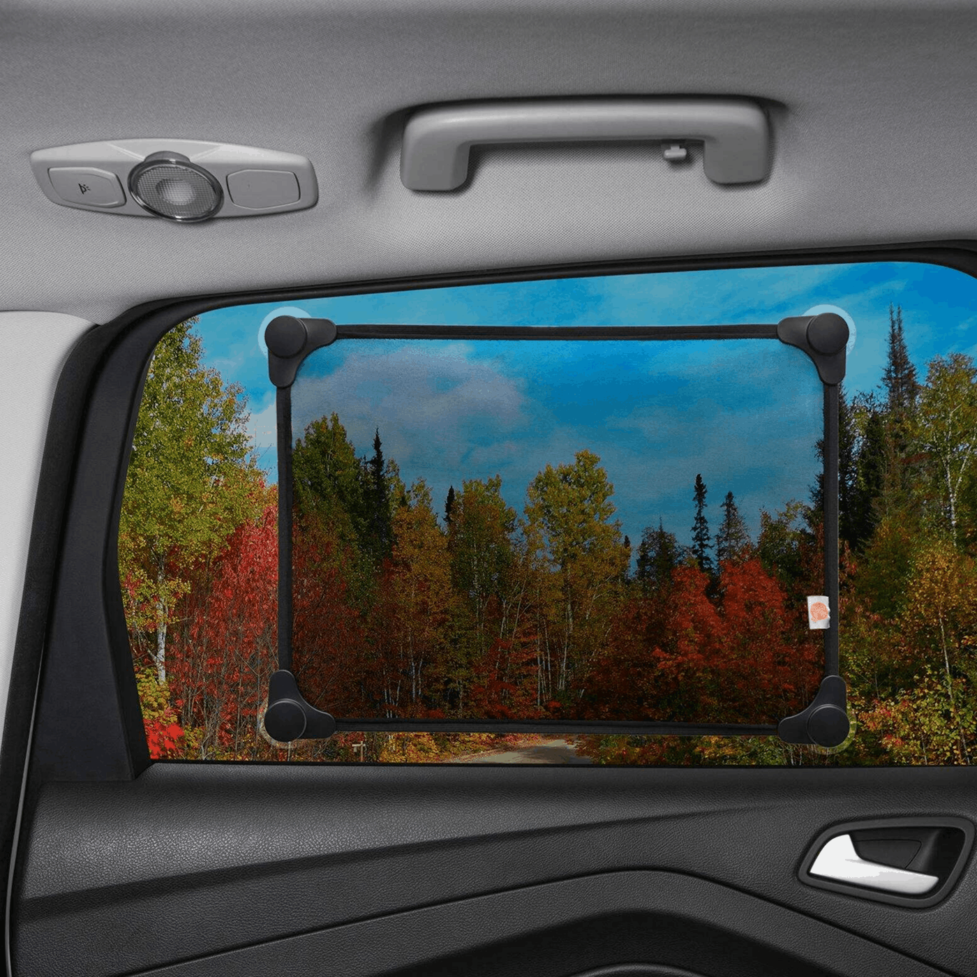Goldspeed Stretch Window Sunshade
